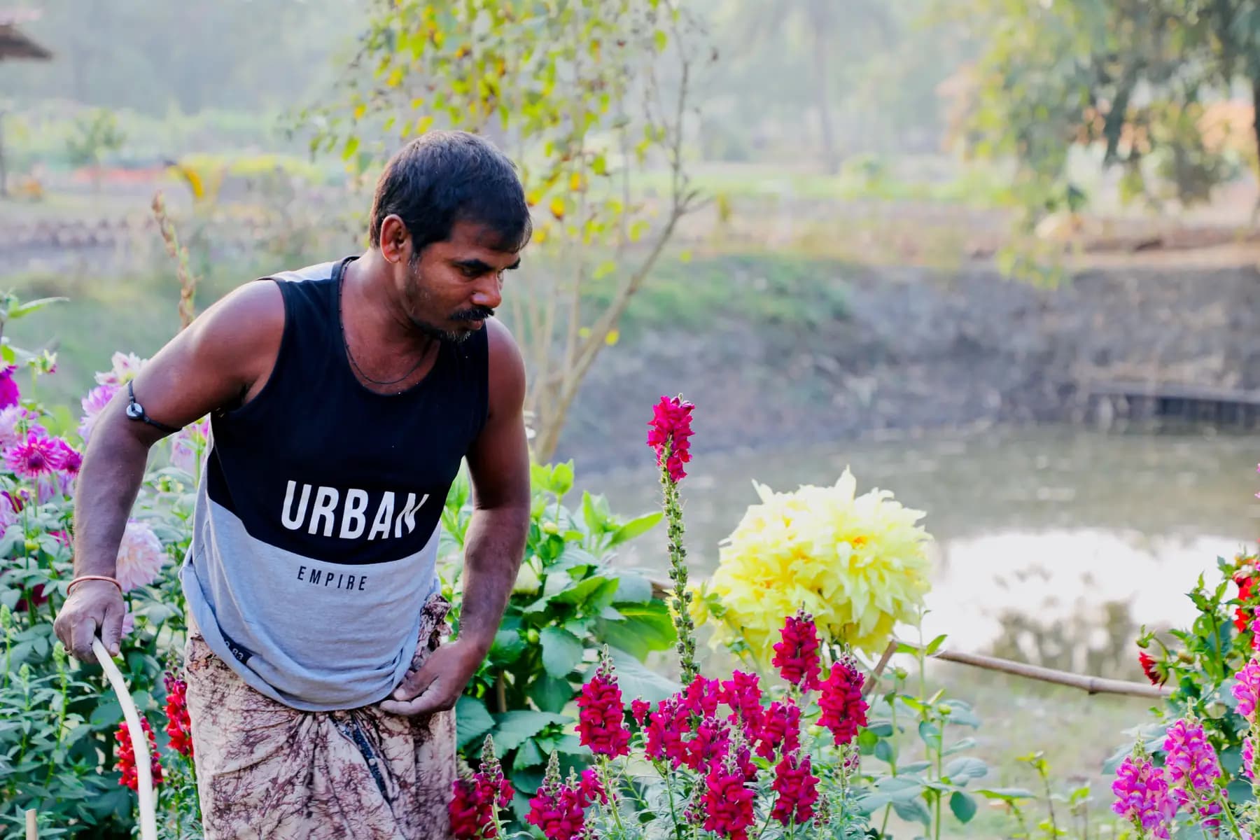 Gardener watering dahlias and snapdragons beside a pond at Turiyo