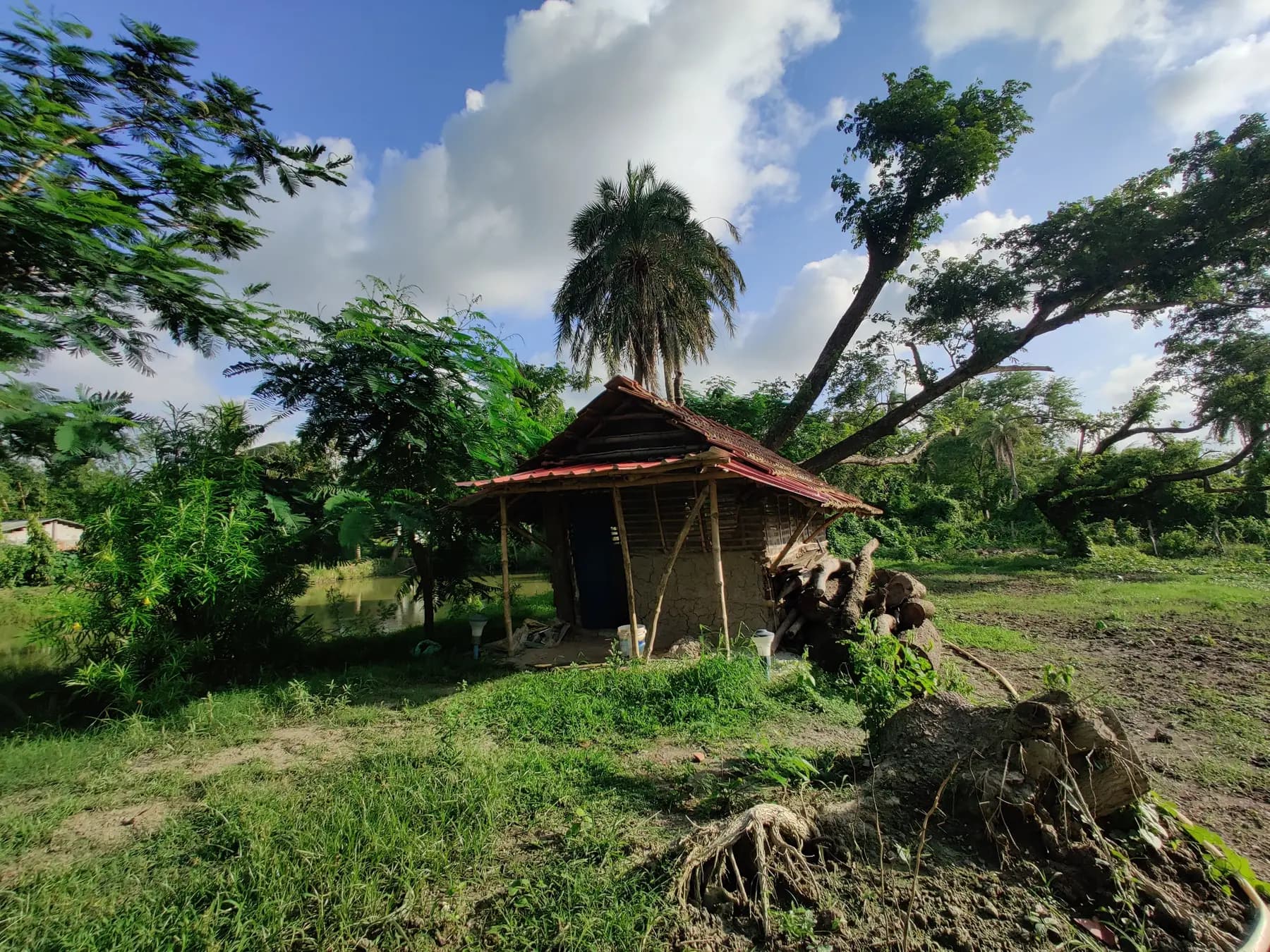 The mud-walled duck house among trees beside the pond