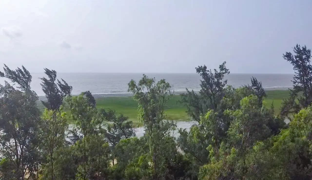 Casuarina trees and the sea under grey sky near Khejuri