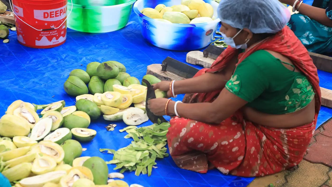 Woman cutting raw mangoes for pickles
