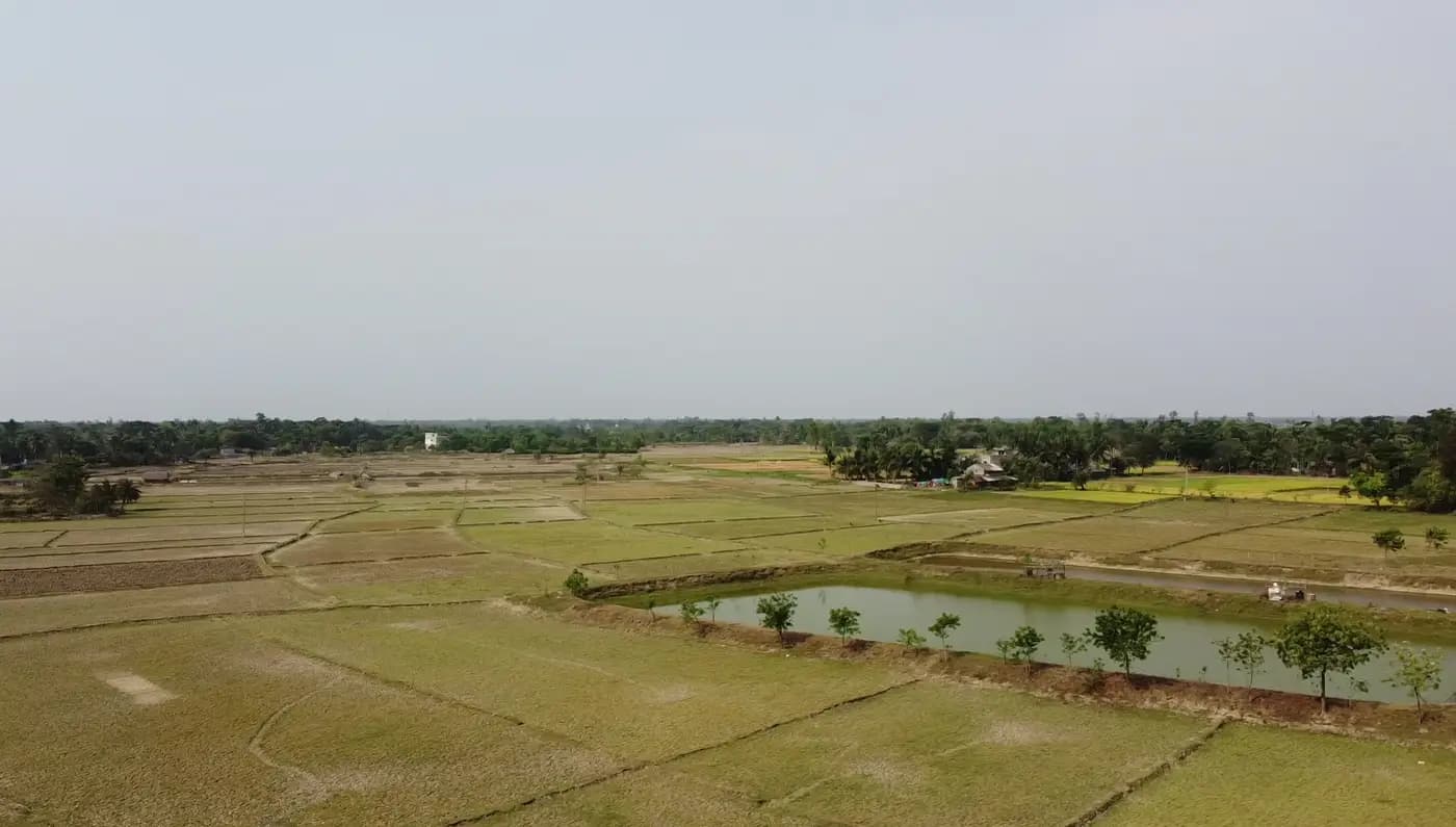 Aerial view of paddy fields and a pond around Chauddhachuli