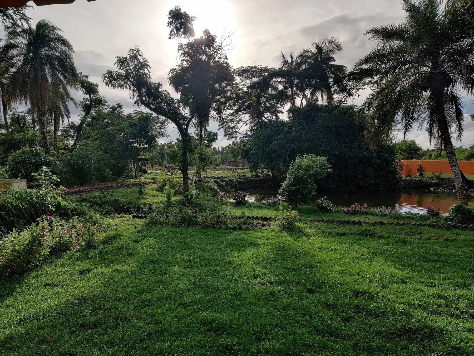 Backlit lawn, flower beds and pond with palms at Turiyo