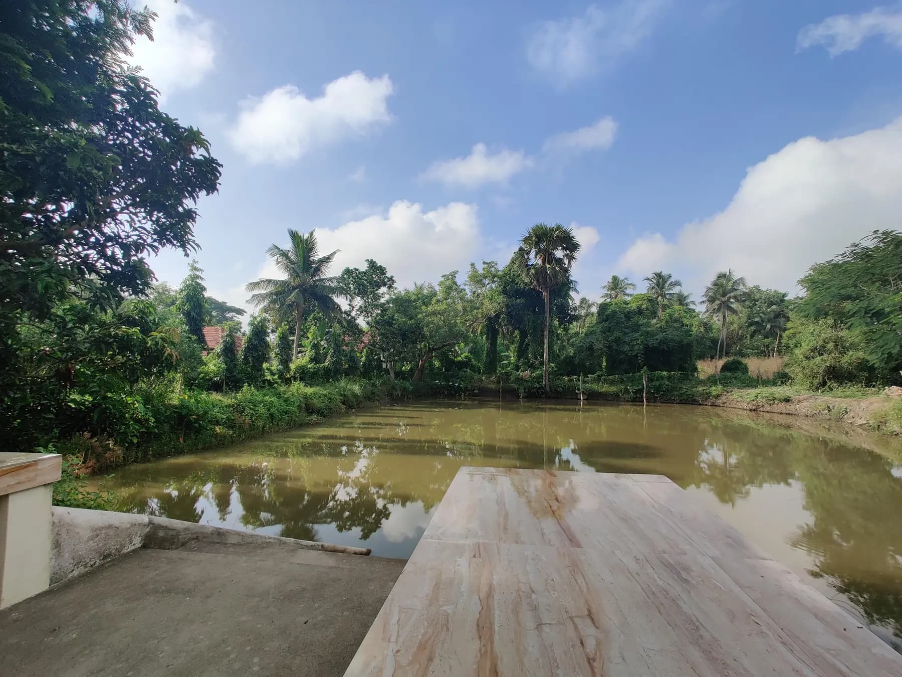 The big pond at Turiyo, ringed by palms and trees, seen from the ghat