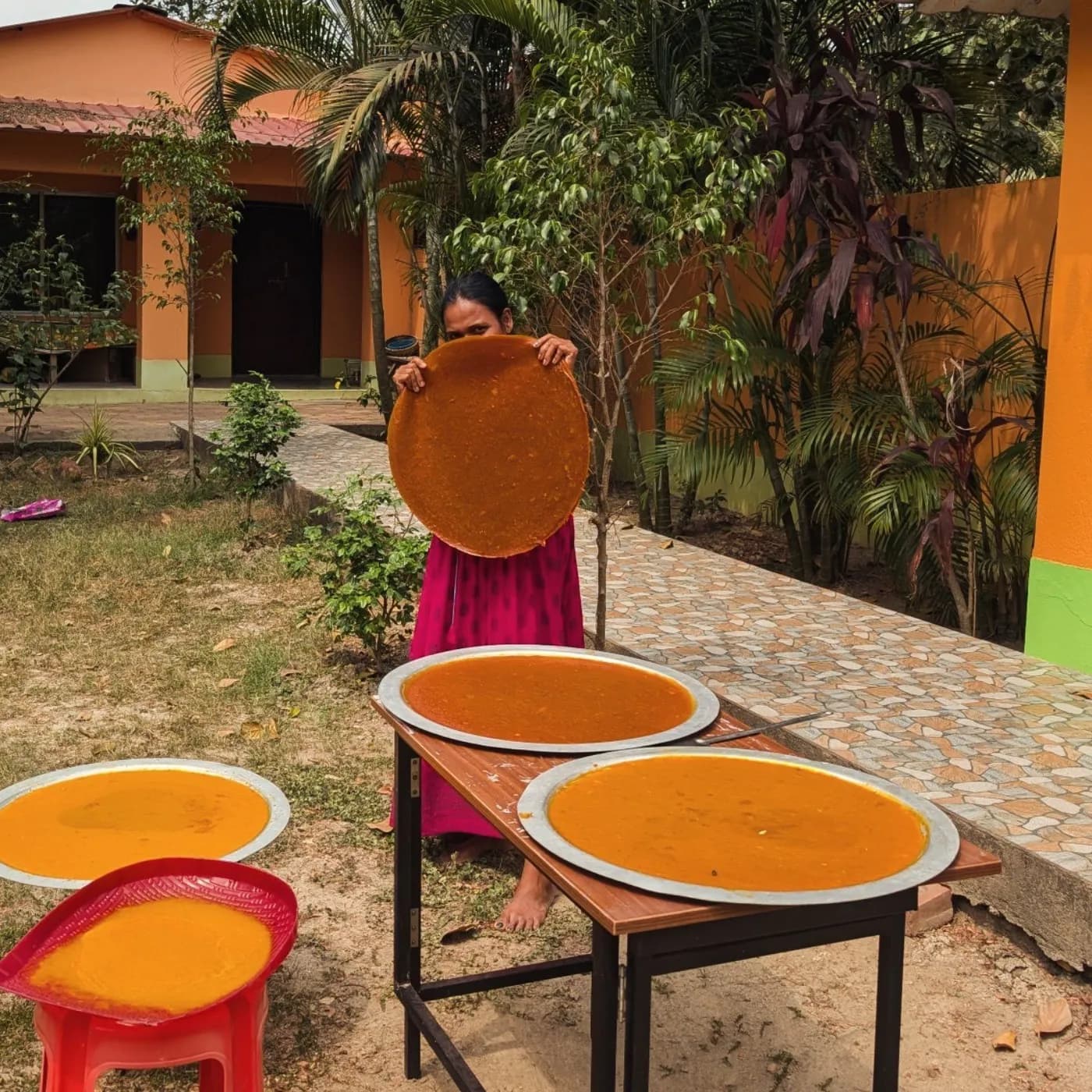 A woman holds up a large round sheet of sun-dried Aamsotto in the Bastu garden, with more trays of mango pulp drying on a table