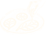 A hand piping leaf and flower patterns onto a plate